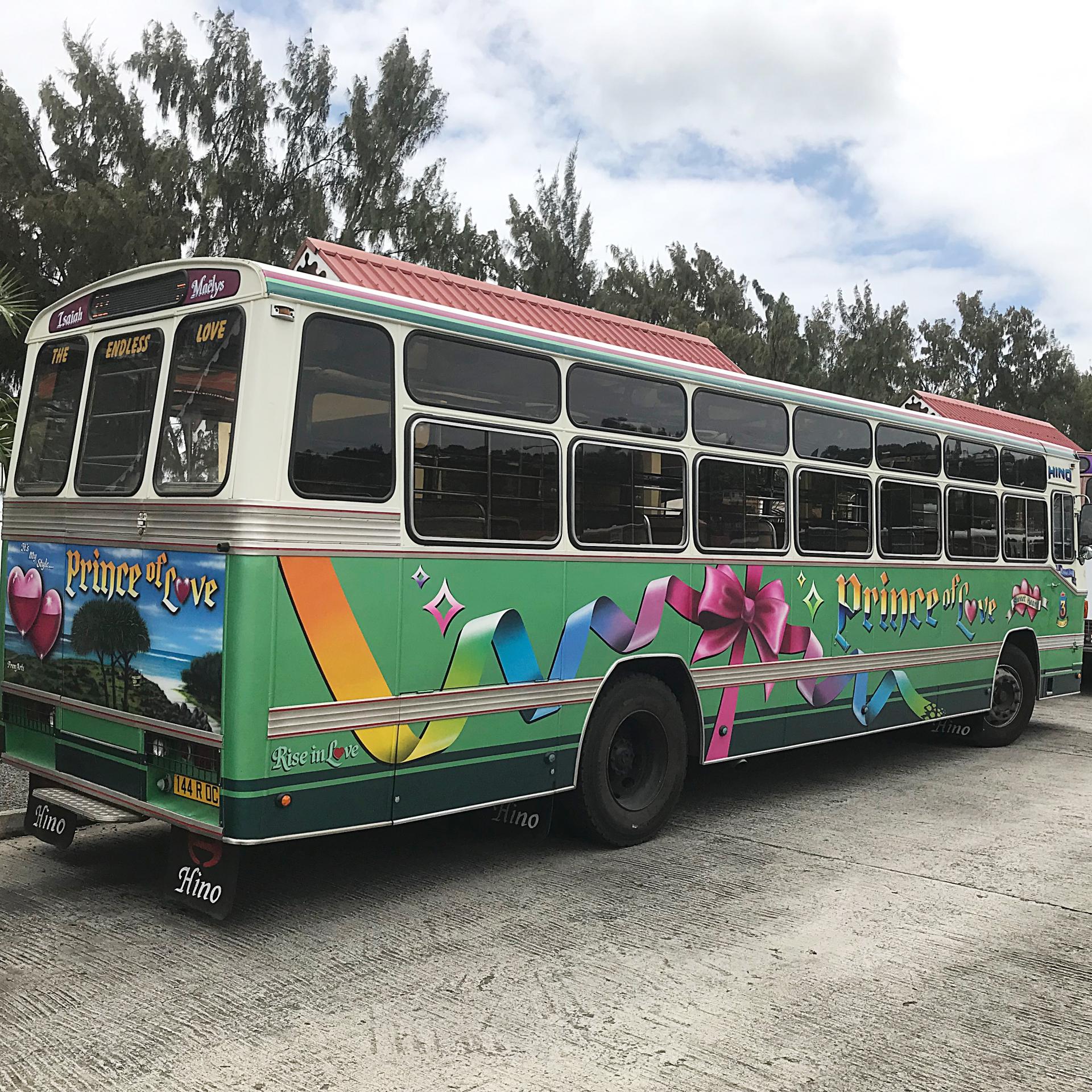 Bus Rodriguais 1