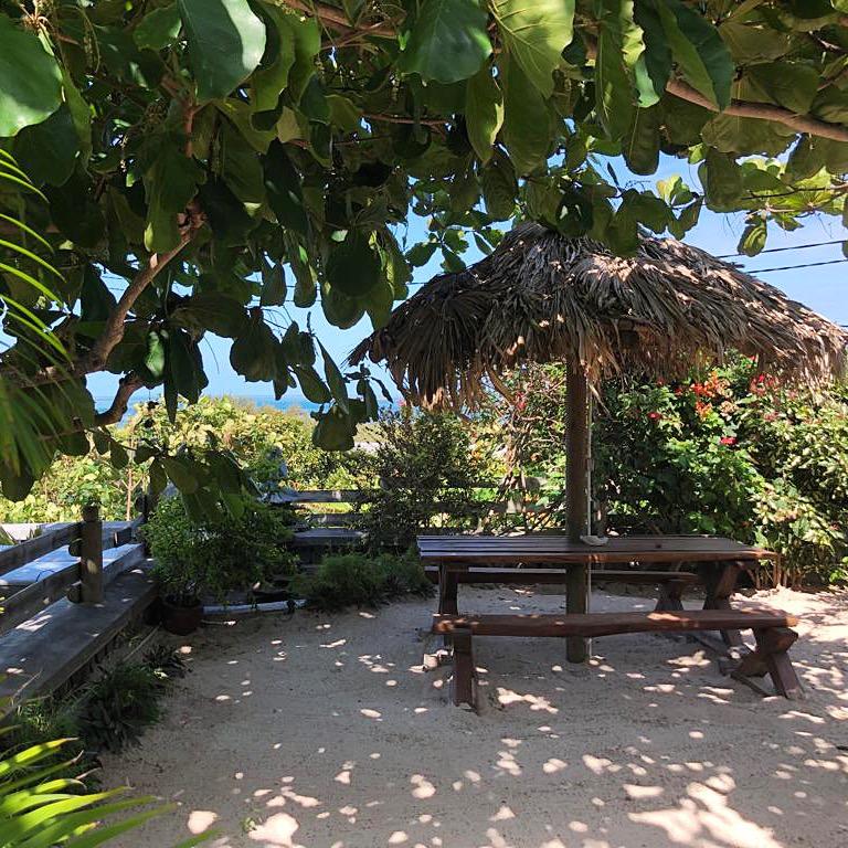 Vue jardin Couzoupa